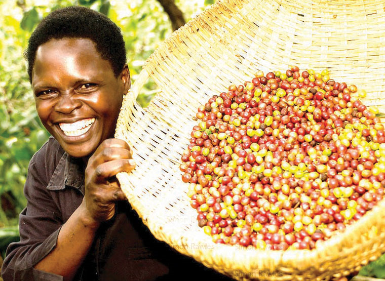Coffee farmers trained to boost exports