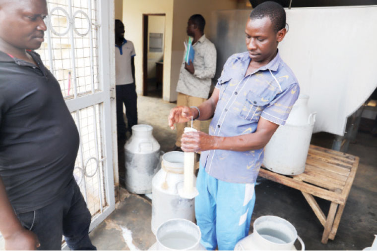 How a new emata app is boosting dairy production